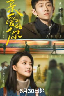 The Wonderful World (2025)